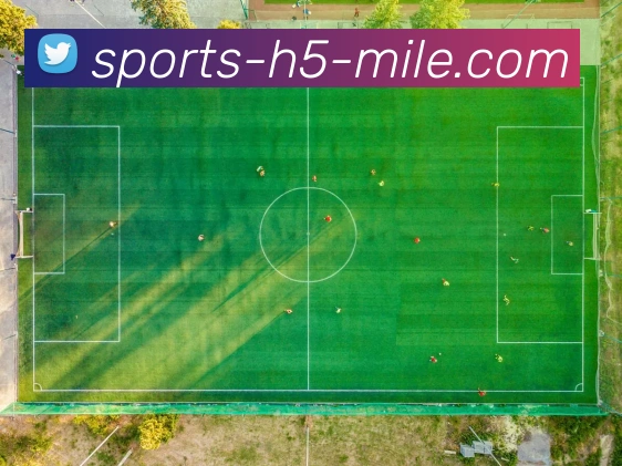 米乐体育全站App